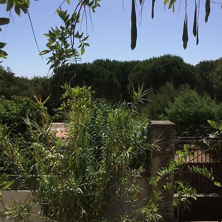 Maison D'Elie Saint-Tropez Exterior photo